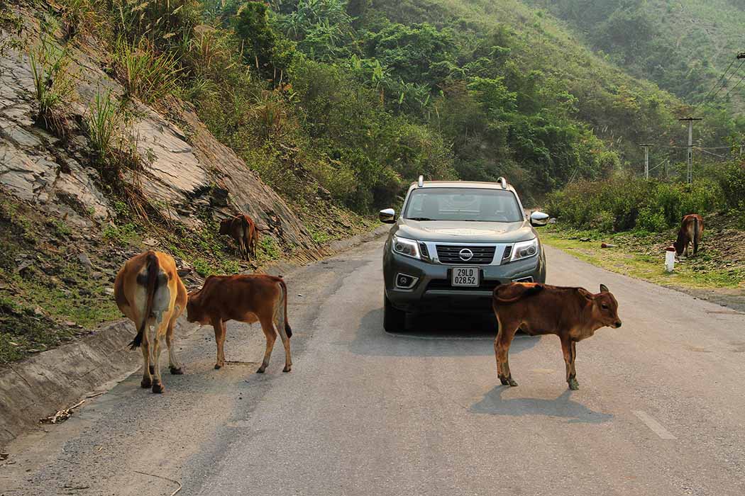 Nissan NP300 Navara hành trình 2,000 km sag Lào