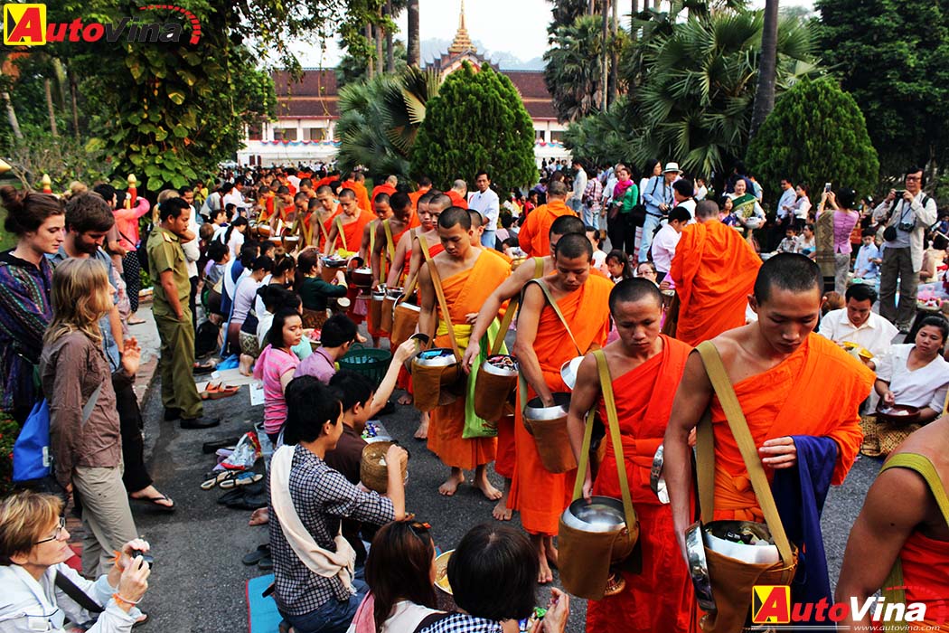 Hành trình 2000 km với Nissan NP300 Navara 5