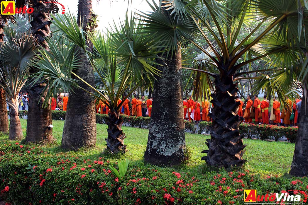 Hành trình 2000 km với Nissan NP300 Navara 5