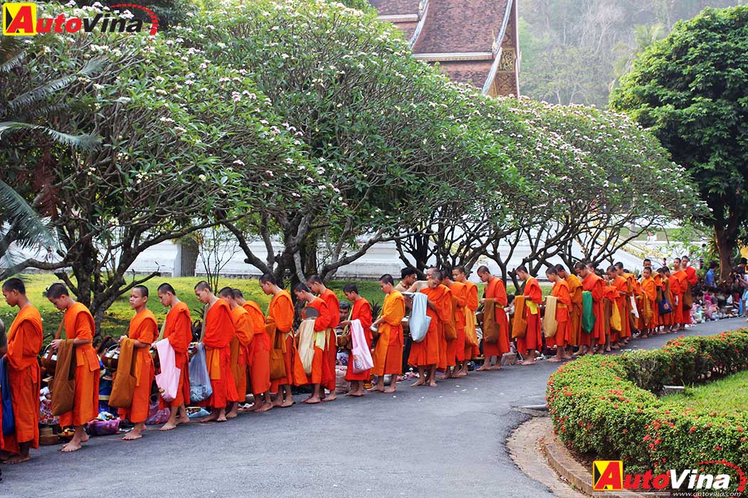 Hành trình 2000 km với Nissan NP300 Navara 5