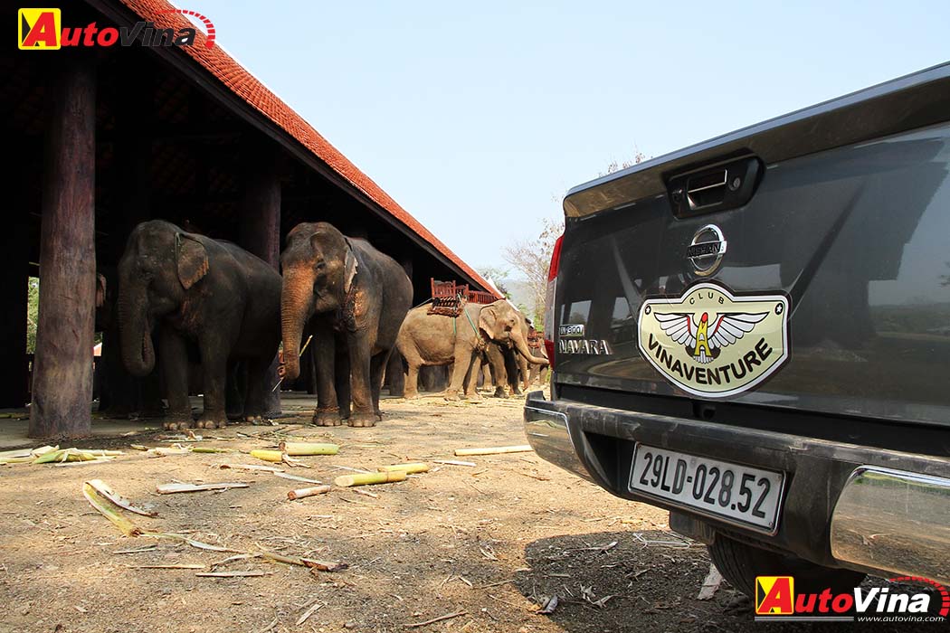 Hành trình 2000 km với Nissan NP300 Navara 5