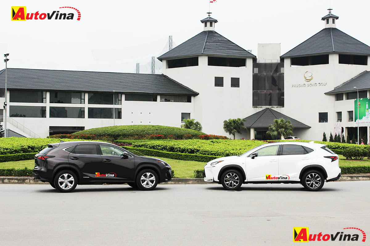 2015 Lexus NX300h Autovina