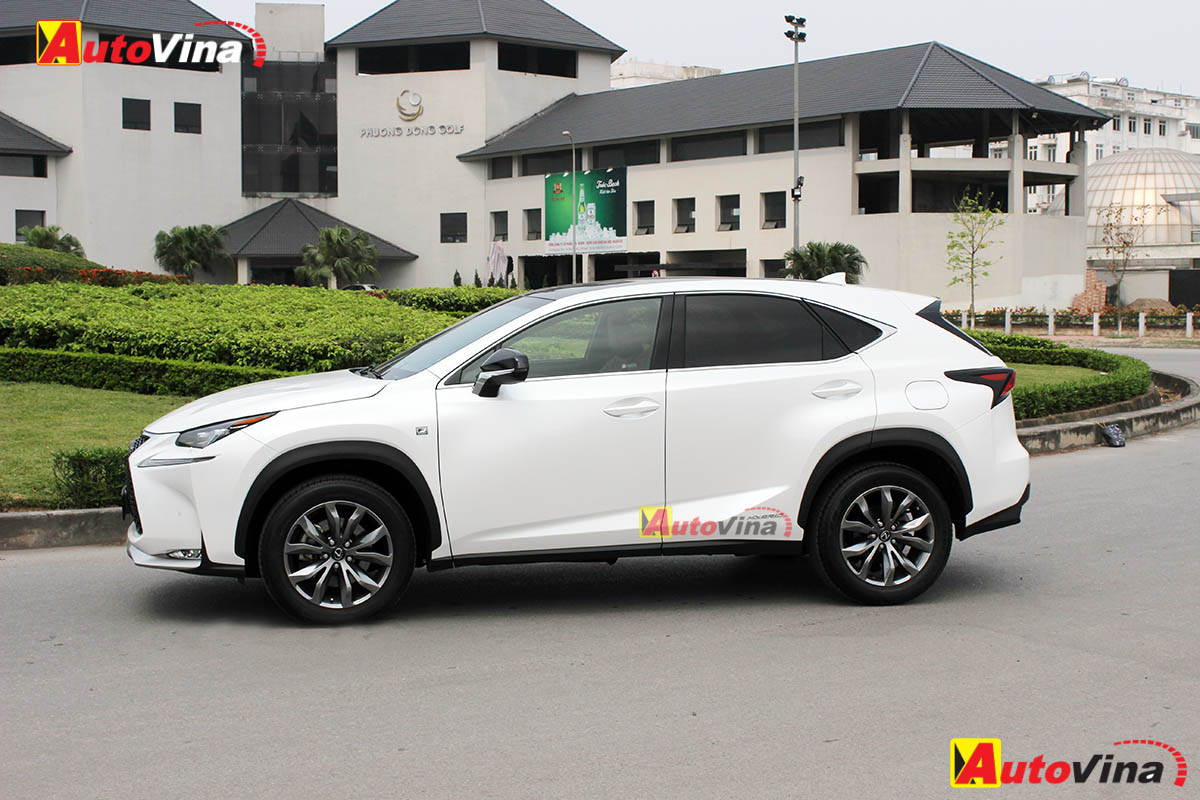 2015 Lexus NX300h Autovina