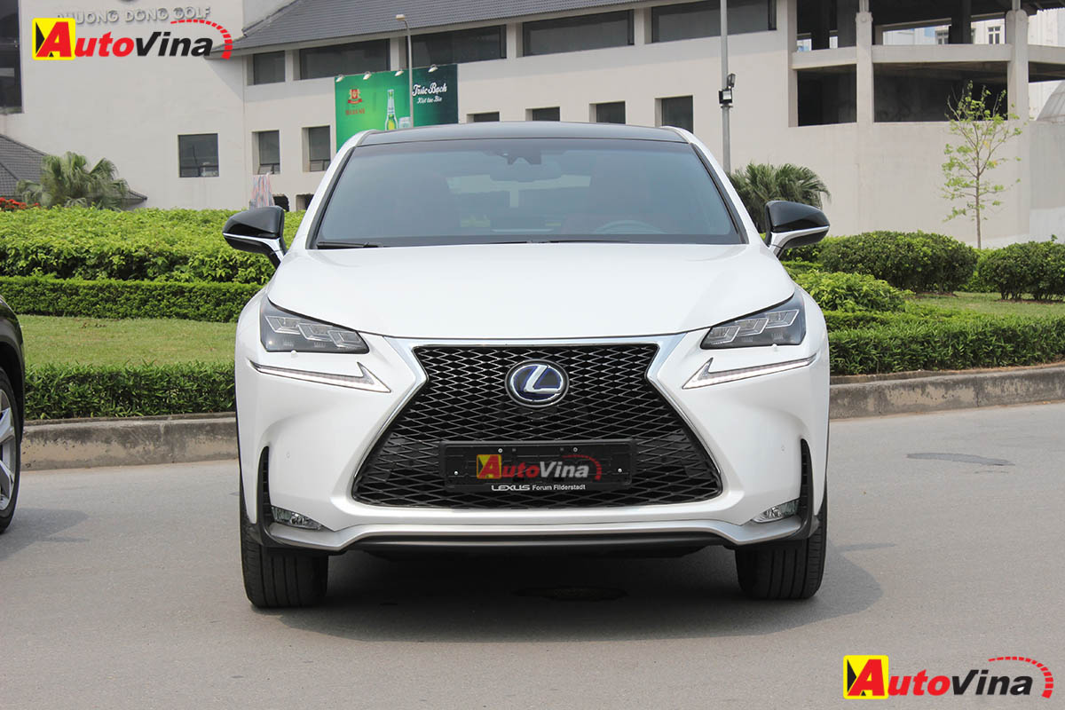 2015 Lexus NX300h Autovina