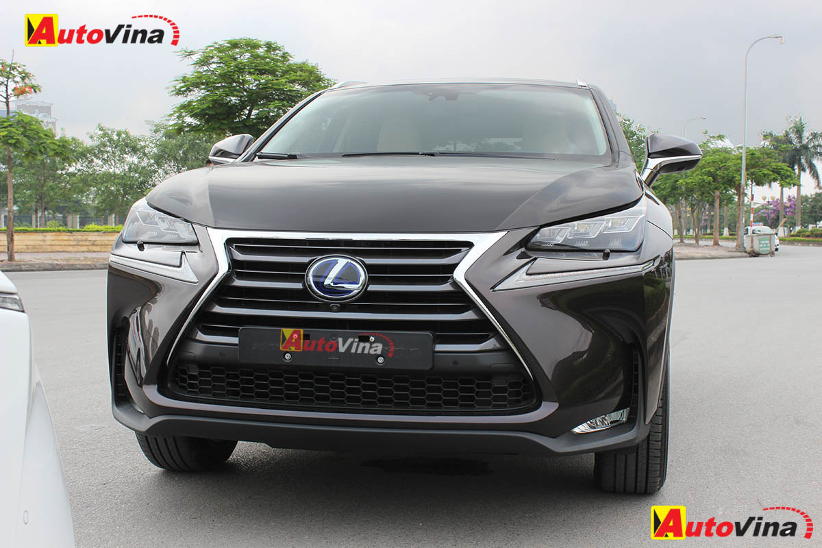 2015 Lexus NX300h Autovina