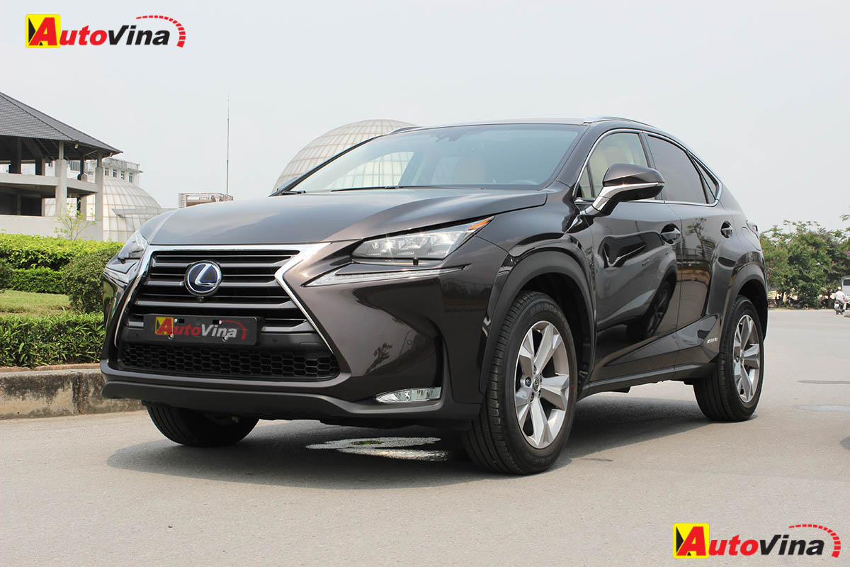 2015 Lexus NX300h Autovina