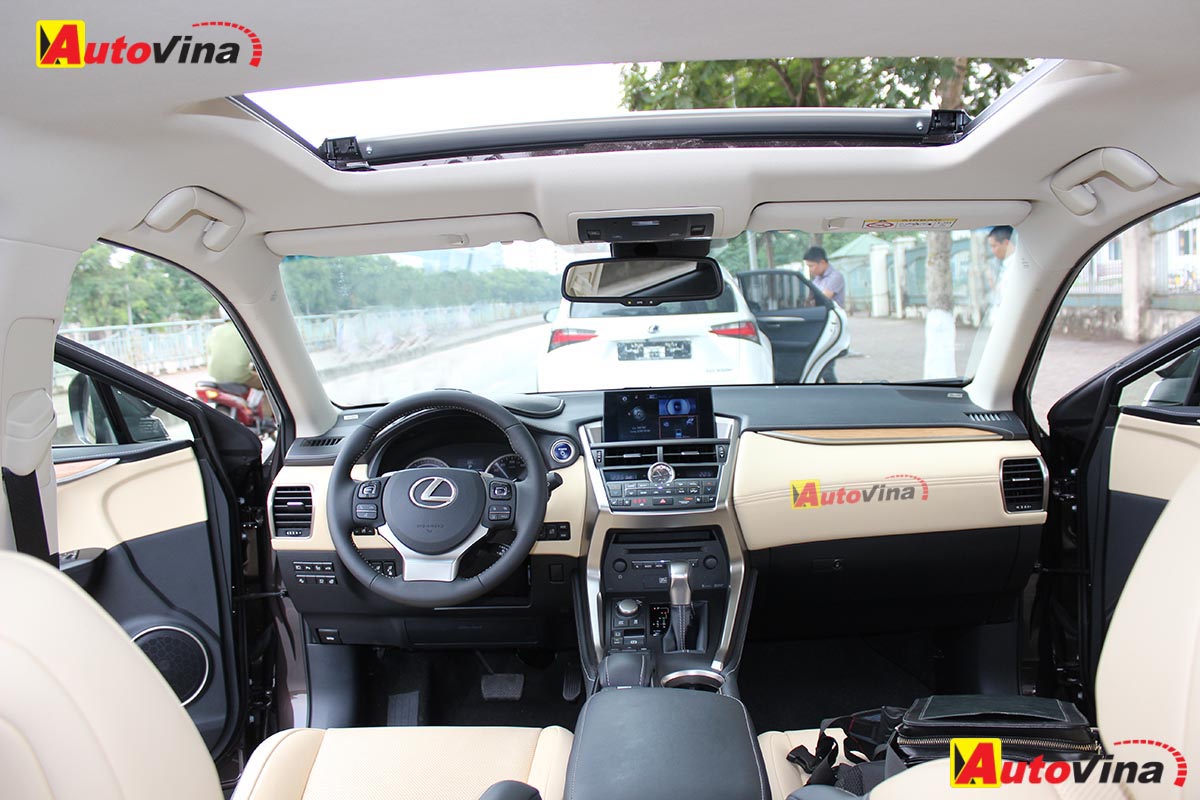 2015 Lexus NX300h Autovina