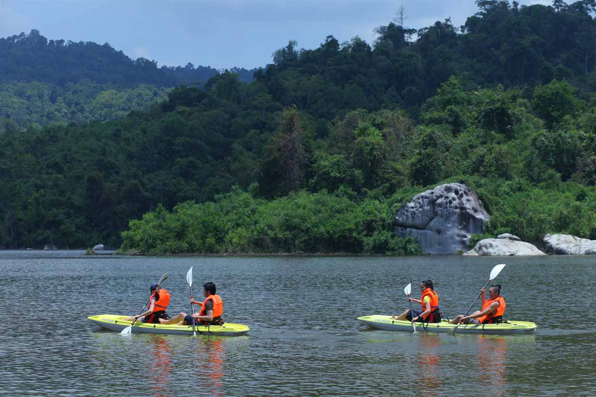 Khám phá rừng xanh ở Madagui Khám phá rừng xanh ở Madagui