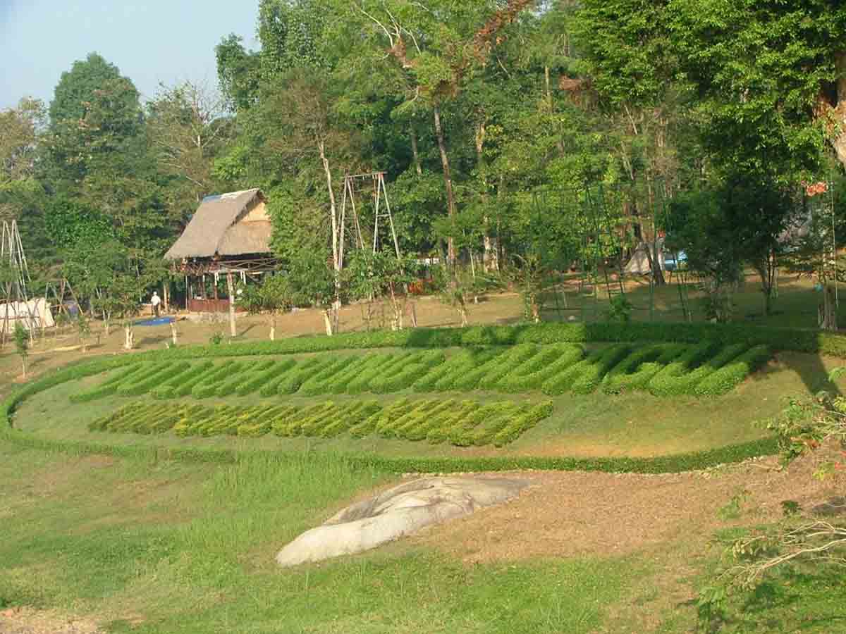 Khám phá rừng xanh ở Madagui Khám phá rừng xanh ở Madagui