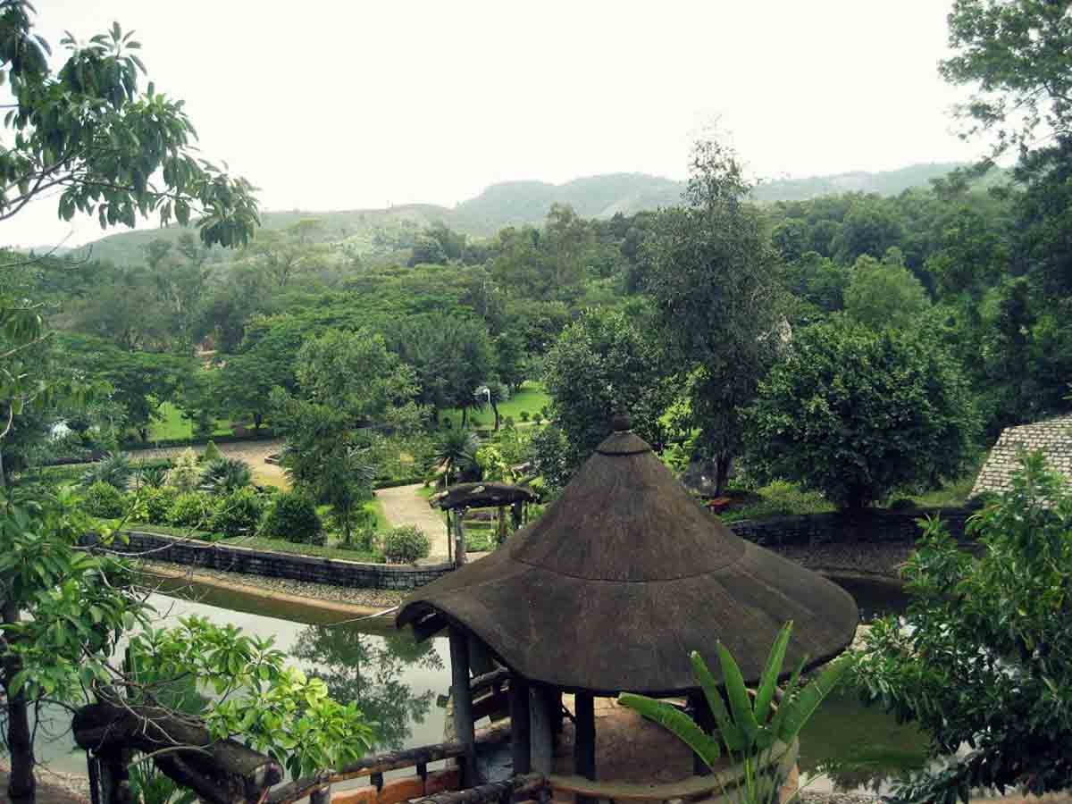 Khám phá rừng xanh ở Madagui Khám phá rừng xanh ở Madagui