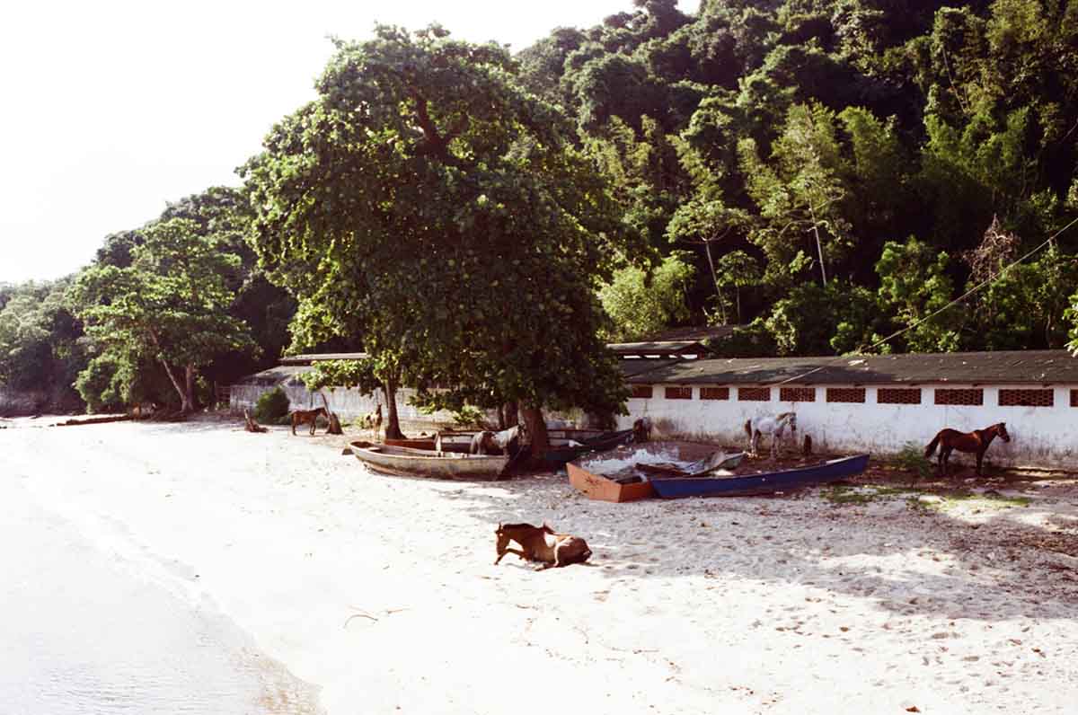 những thành phố vắng bóng xe hơi những thành phố vắng bóng xe hơi