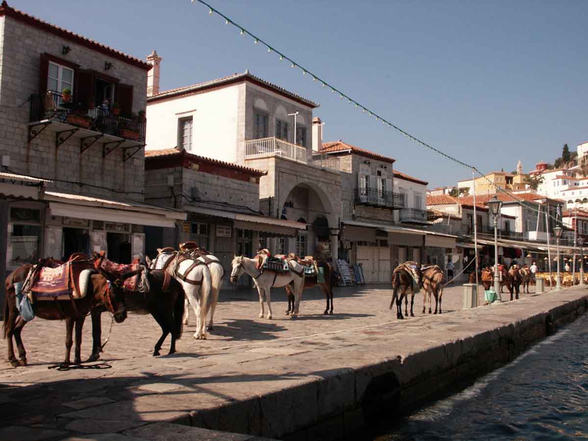 những thành phố vắng bóng xe hơi những thành phố vắng bóng xe hơi