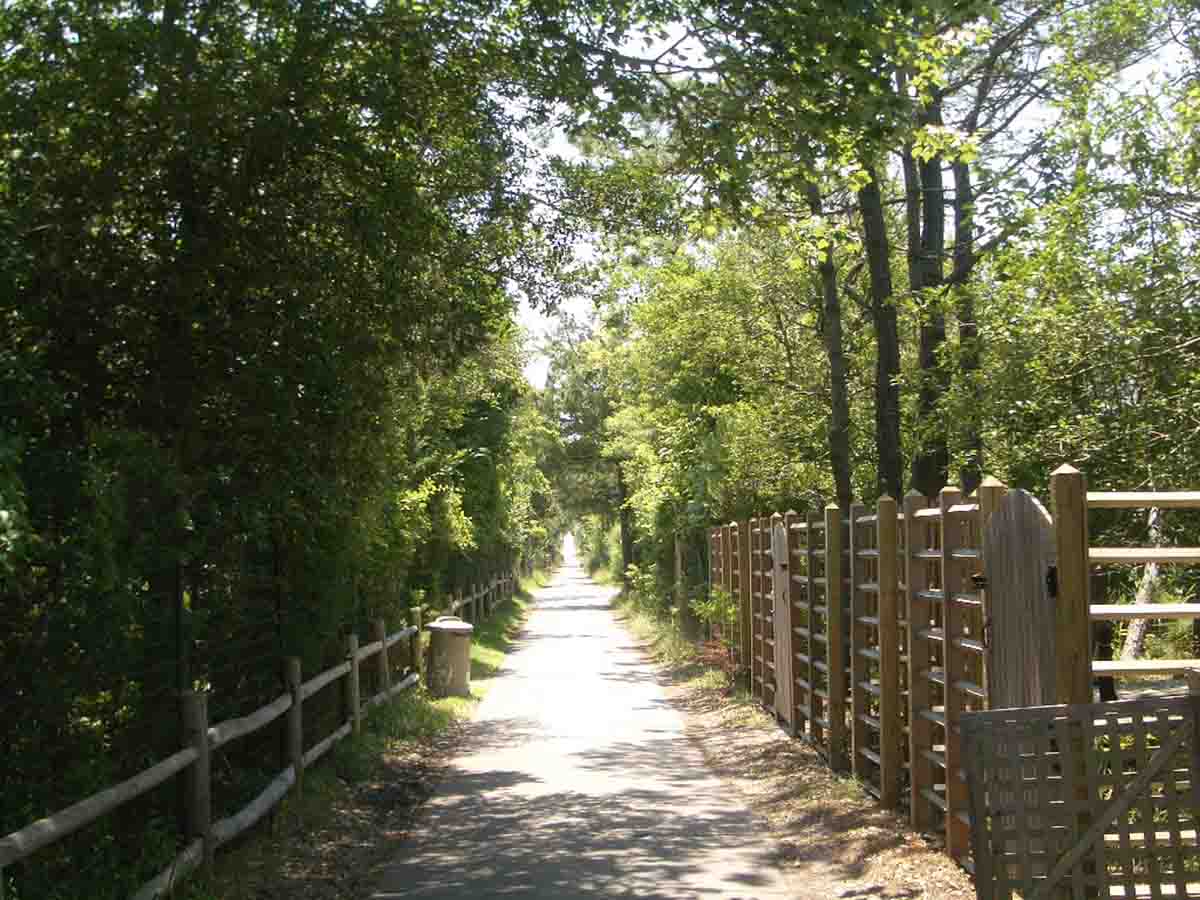 những thành phố vắng bóng xe hơi những thành phố vắng bóng xe hơi