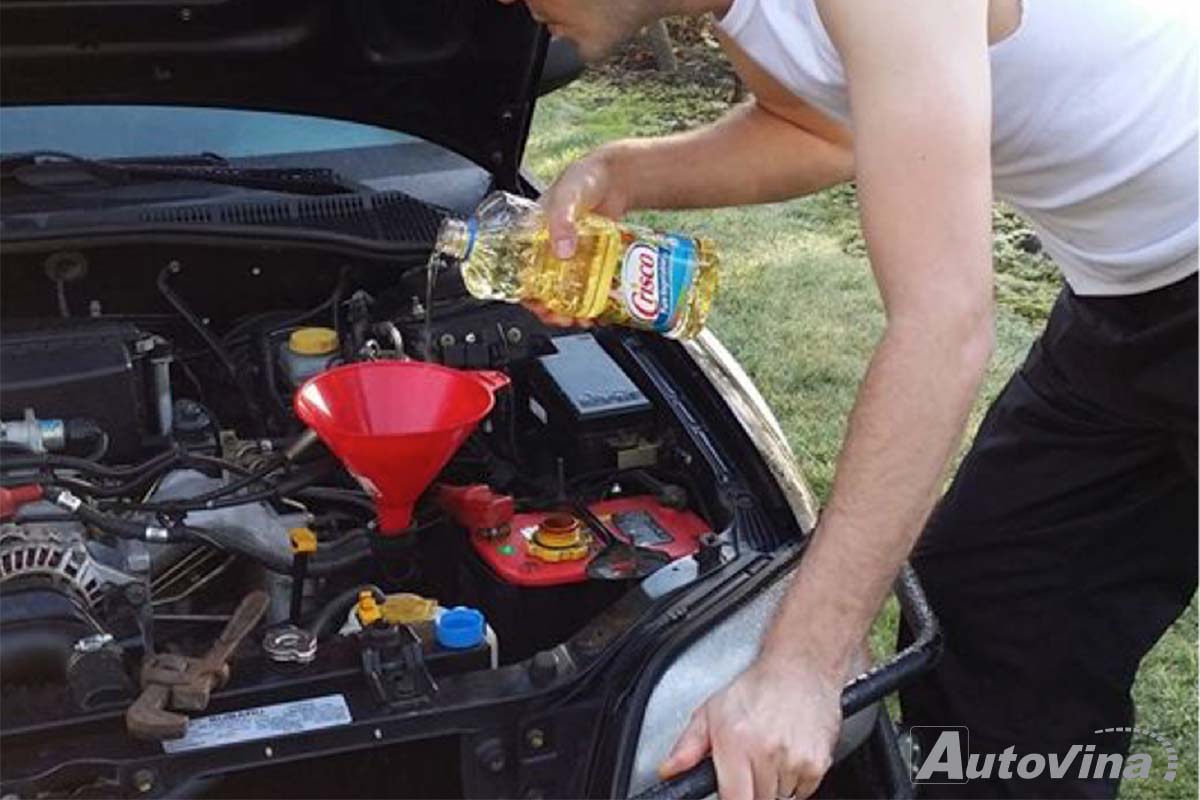 Autovina 02 Bạn đang sử dụng sai chủng loại dầu bôi trơn Autovina 02 Bạn đang sử dụng sai chủng loại dầu bôi trơn