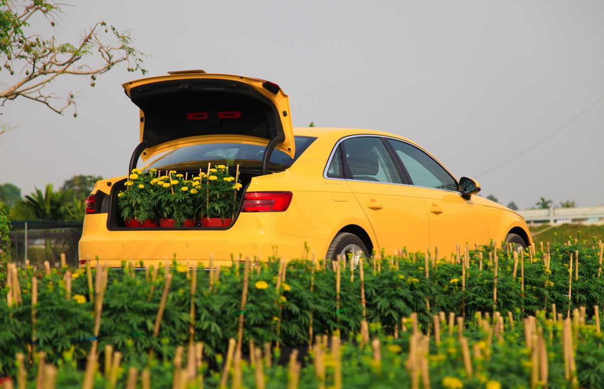 Audi A4 hoàn toàn mới Audi A4 hoàn toàn mới