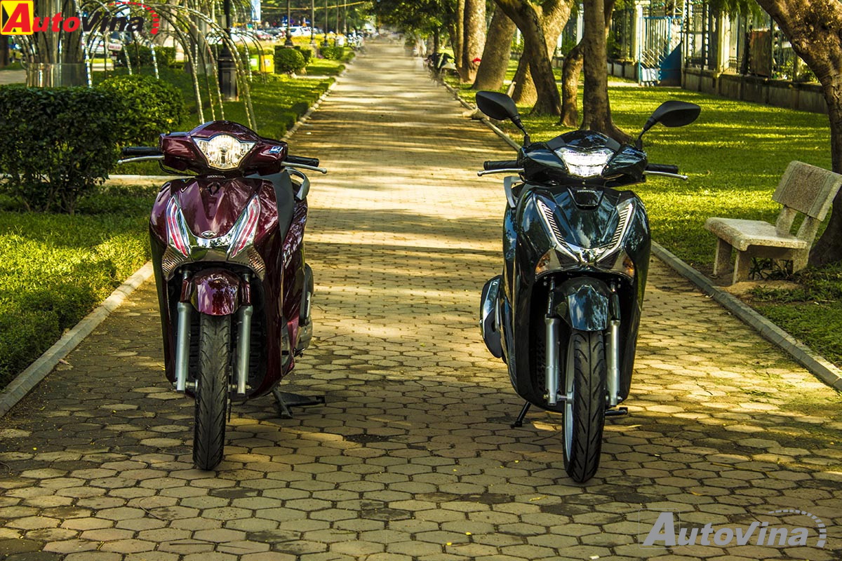 Video những lưu ý quan trọng khi sử dụng vào bảo dưỡng xe tay ga Honda SH