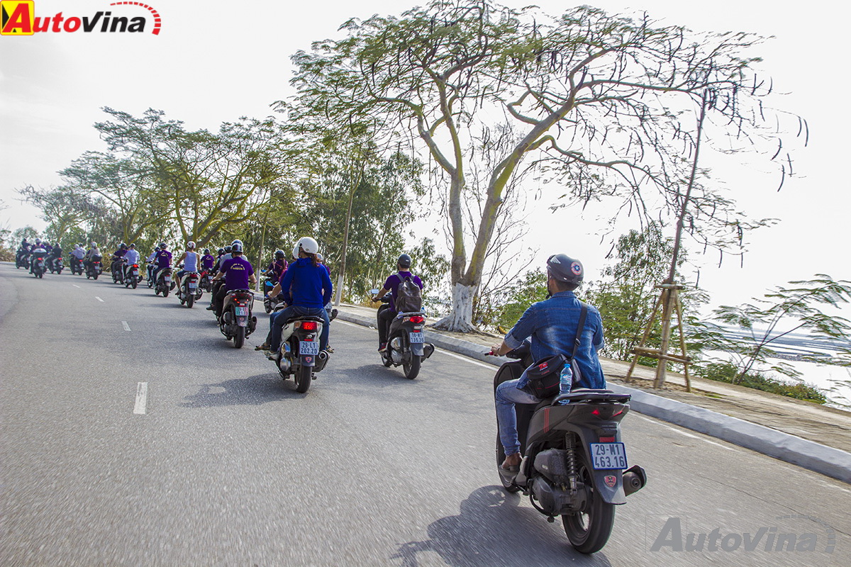 cộng đồng sh việt nam chung tay làm sạch biển