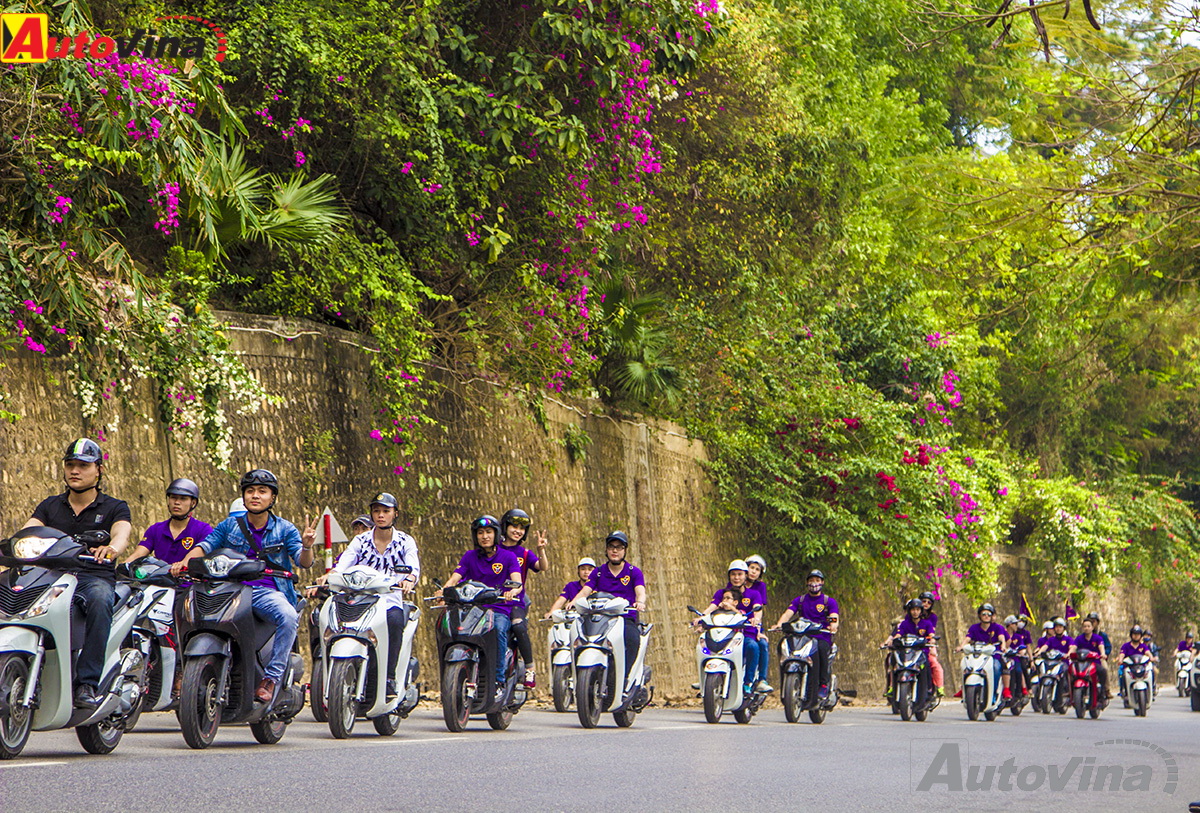 cộng đồng sh việt nam chung tay làm sạch biển