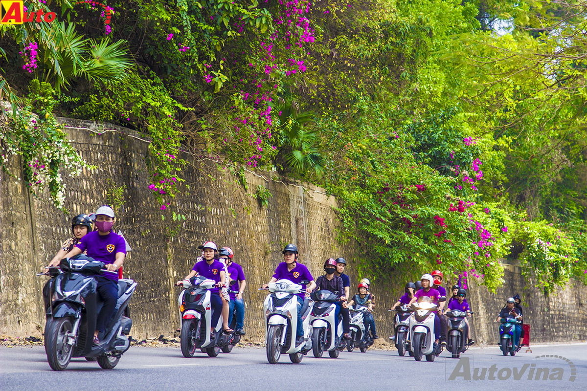 cộng đồng sh việt nam chung tay làm sạch biển