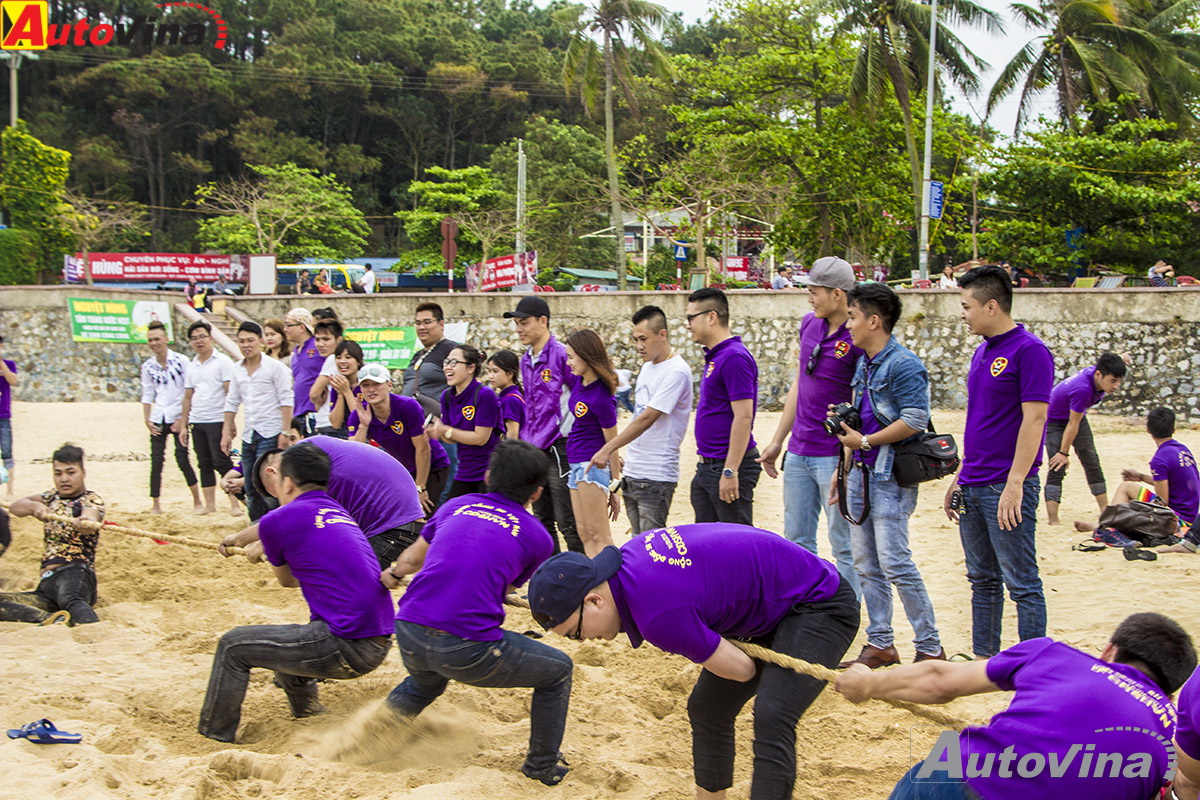 cộng đồng sh việt nam chung tay làm sạch biển