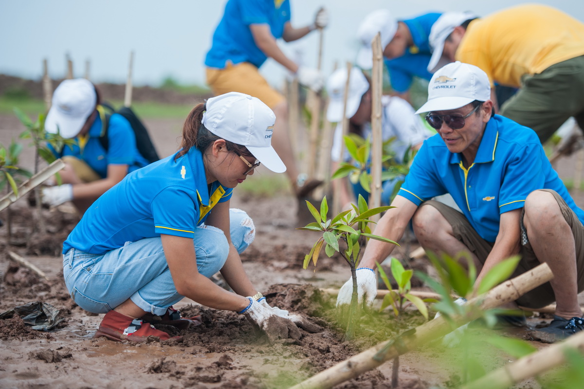 GM Việt Nam chung tay bảo vệ rừng ngập mặn